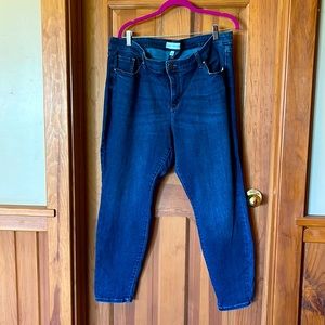 Lane Bryant Mid-Rise Skinny Jean
